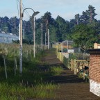 Shared Garden 5