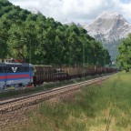 Cargo train clearing the woods