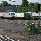 Die Vier der SSTEB 1