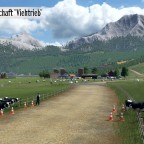 Landschaft Viehtrieb
