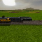 IE 245