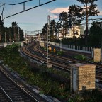 Morning Journey