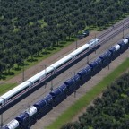 durch die Apfelbaumplantagen