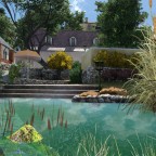 Schwimmteich