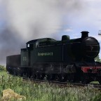 [TpF1] "Remembrance" on the hill run