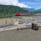 Regionalbahn passiert das Sägewerk