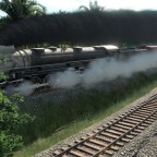 Tropical Steam