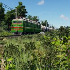 VL80S in the spring forest