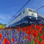 Ab nach Saarbrücken !