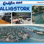 Postkarte Halligstork