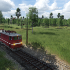 242 143 beim Waldspaziergang