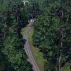 Vom Wald zum Sägewerk 01
