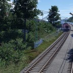 Vom Wald zum Sägewerk 11
