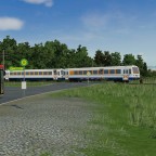 NE81 im Tal (Sommer) 5