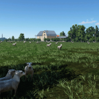 In the Pasture