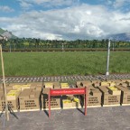 Banana Plantation