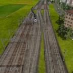 Track field