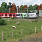 S-Bahn BR 423 40 Jahre S-Bahn München