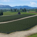 TPF2_004_Weingut