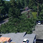 Vom Wald zum Sägewerk 06
