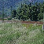 Postkarte aus den Alpen
