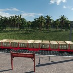 Cotton Plantation