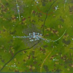 München von oben