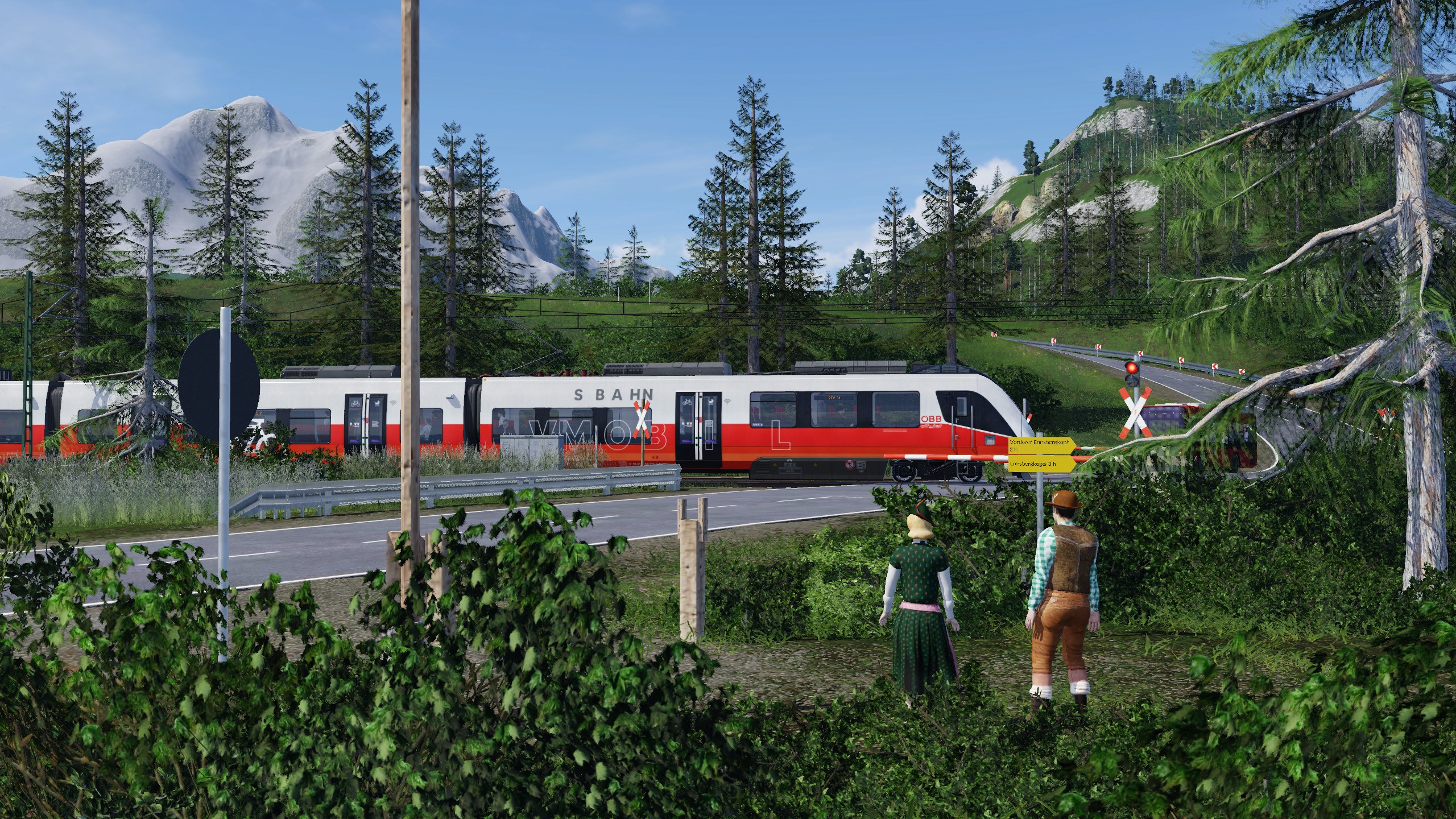 44047-d33c0ece.jpg