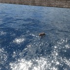 It's Jesus! xD