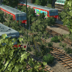Verwahrlost und zurückgelassen