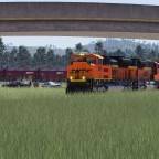 Meeting under the bridge