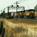 II