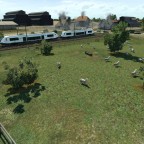 Kleine Farm