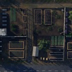 Shared Garden 3
