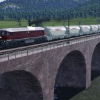 Eine Ludmilla mit Körnern auf dem Fluss