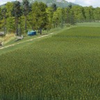 Landwirtschaft am Naturschutzgebiet?