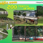 Postkarte Zoo Tieritch