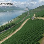 Landschaft Weinterrassen