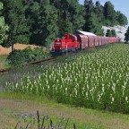 Gravita mit Schotter auf dem Weg nach Vieshofen