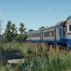 [TpF1] D1s meet at swamp area #2
