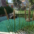 Das Wasser Asset ist genial
