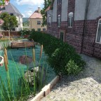 Garten mit Teich
