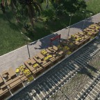 Banana Plantation