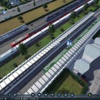 Bär zwischen den Zügen vor dem HBF