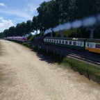 Vorbeifahrt von Dampf und Diesel bei einem Feld in Neustein