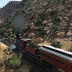 Wild wild West