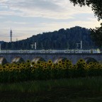 St-Androise Viaduct